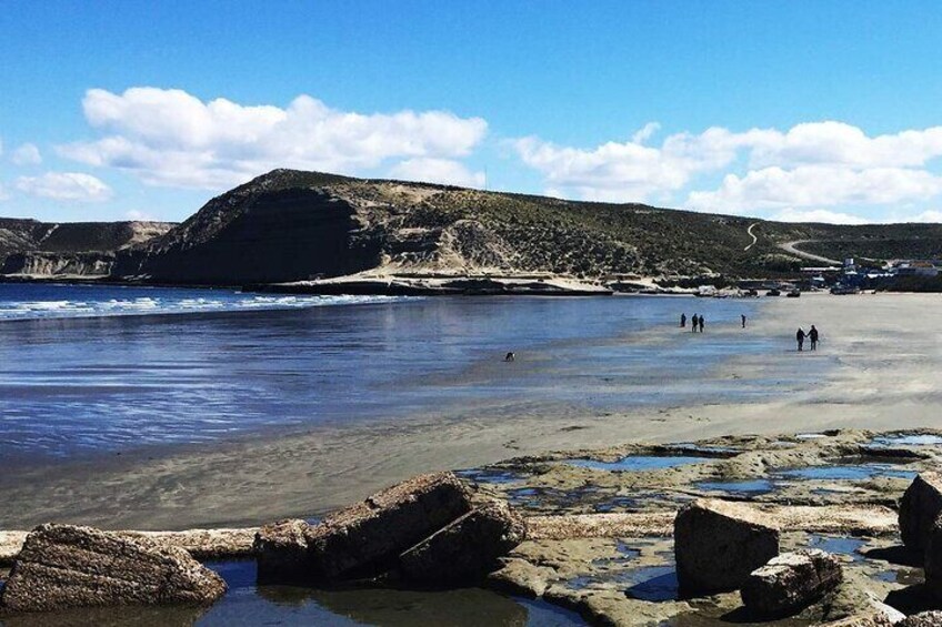 Full Day Peninsula Valdes - optional Whales Watching Navigation 