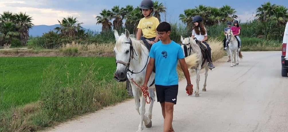 Picture 4 for Activity Ebro Delta National Park: Guided Horseback Riding Tour