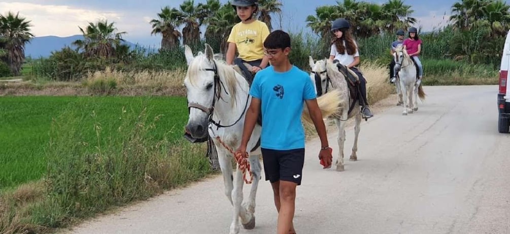 Picture 4 for Activity Ebro Delta National Park: Guided Horseback Riding Tour