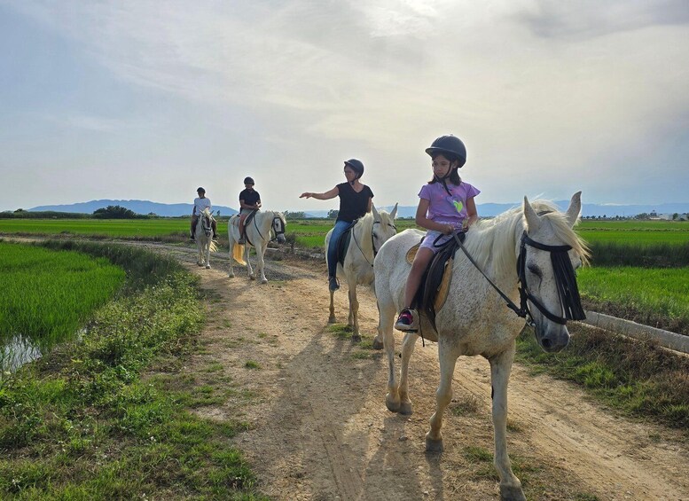 Picture 2 for Activity Ebro Delta National Park: Guided Horseback Riding Tour