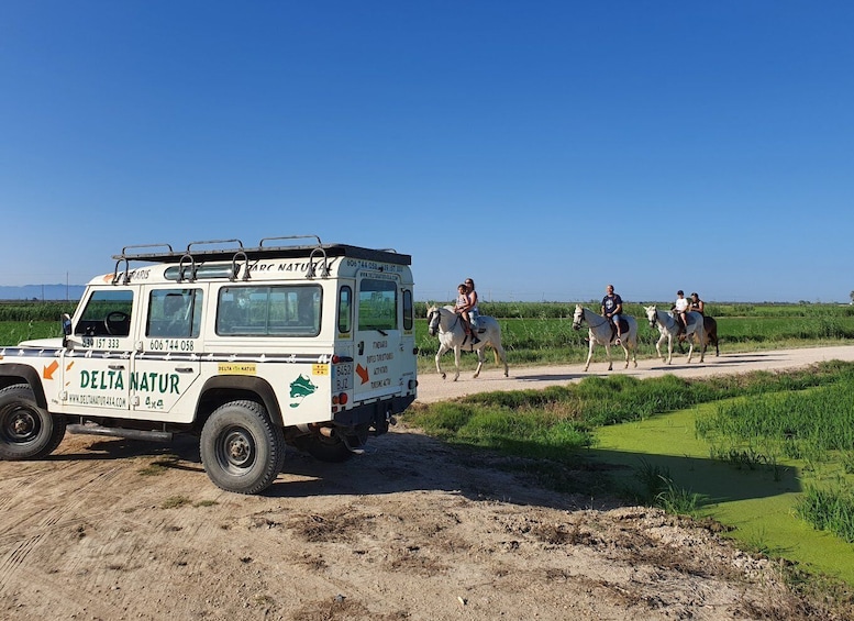 Picture 1 for Activity Ebro Delta National Park: Guided Horseback Riding Tour