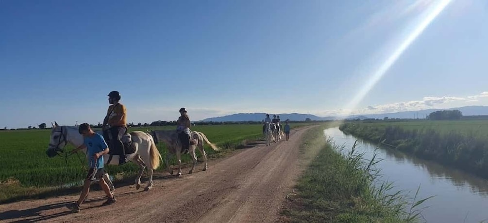 Picture 2 for Activity Ebro Delta National Park: Guided Horseback Riding Tour