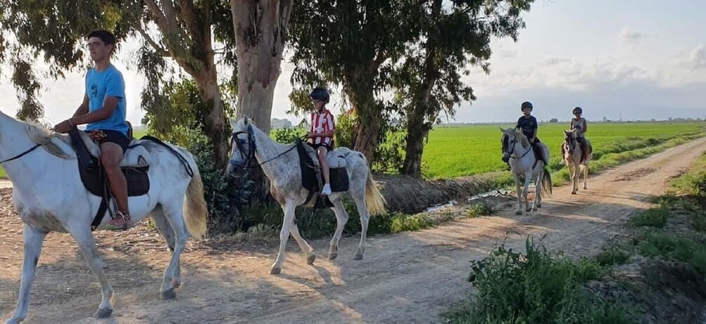 Picture 3 for Activity Ebro Delta National Park: Guided Horseback Riding Tour