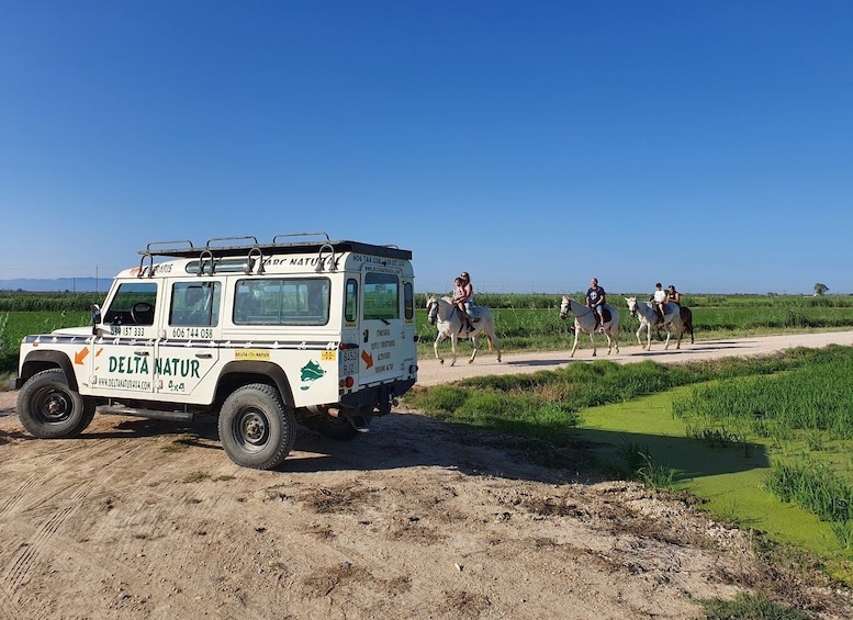 Picture 1 for Activity Ebro Delta National Park: Guided Horseback Riding Tour