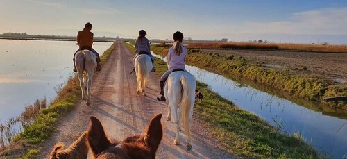 Ebro Delta National Park: Guided Horseback Riding Tour