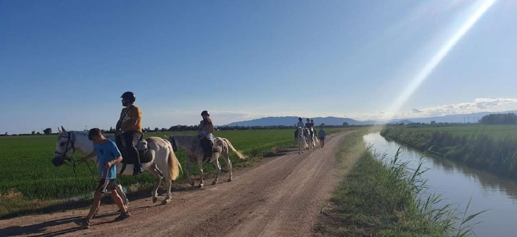 Picture 2 for Activity Ebro Delta National Park: Guided Horseback Riding Tour