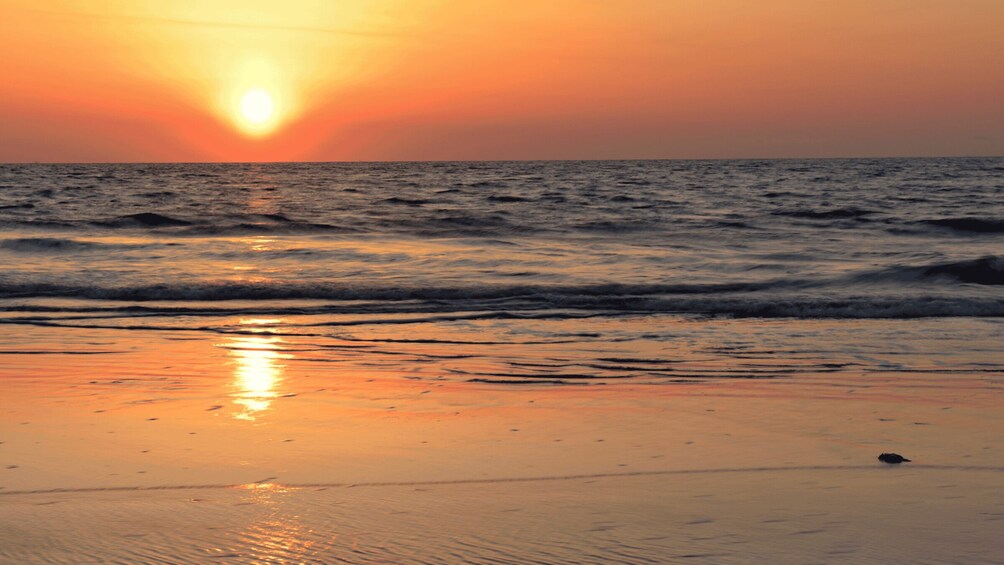 Picture 3 for Activity Sunrise Adventure: Dune Bashing, Camel Ride & Sandboarding