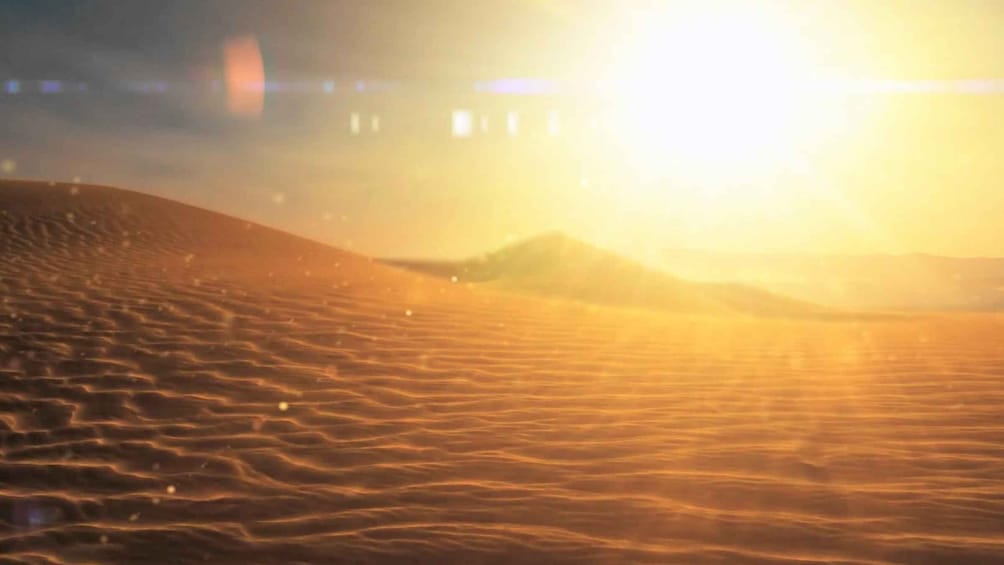Sunrise Desert Safari with Camel Ride and Sand Boarding