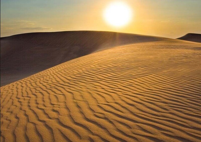 Picture 6 for Activity Sunrise Adventure: Dune Bashing, Camel Ride & Sandboarding