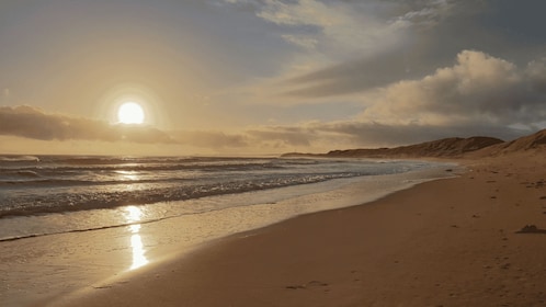 Aventura al amanecer: paseo por las dunas, paseo en camello y sandboarding