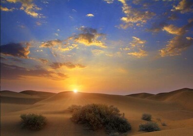 Aventura al amanecer: paseo por las dunas, paseo en camello y sandboarding