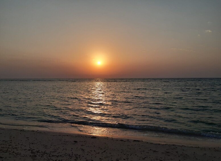 Picture 9 for Activity Sunrise Adventure: Dune Bashing, Camel Ride & Sandboarding