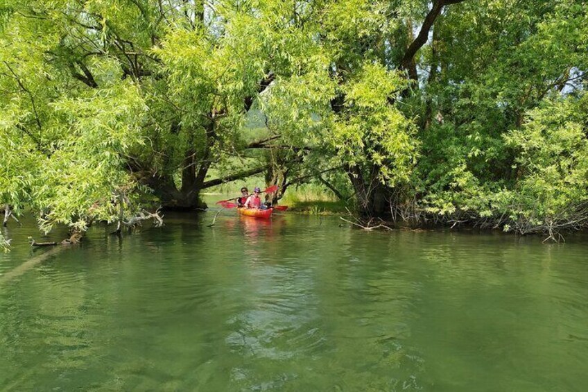 Kayak trip on Adda River North Park