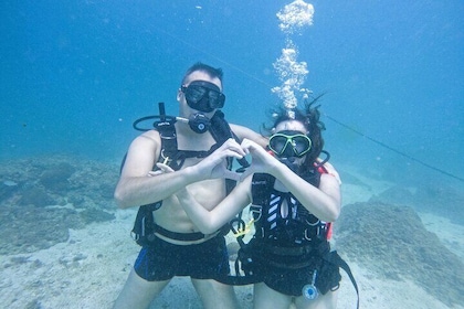 Try Scuba Diving & snorkelling with BBQ lunch & Transfer