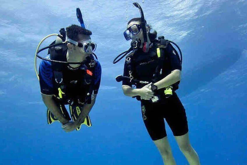 Try Scuba Diving & snorkeling with BBQ lunch & Transfer