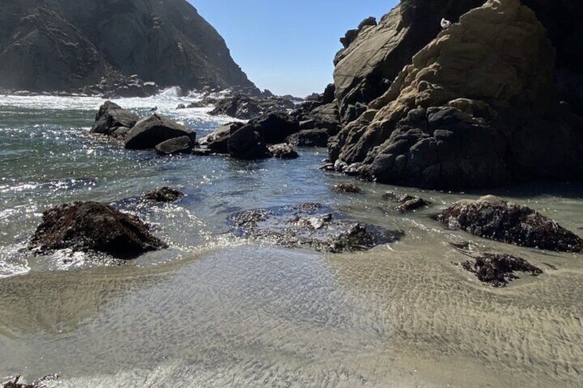 Pfeiffer Beach 