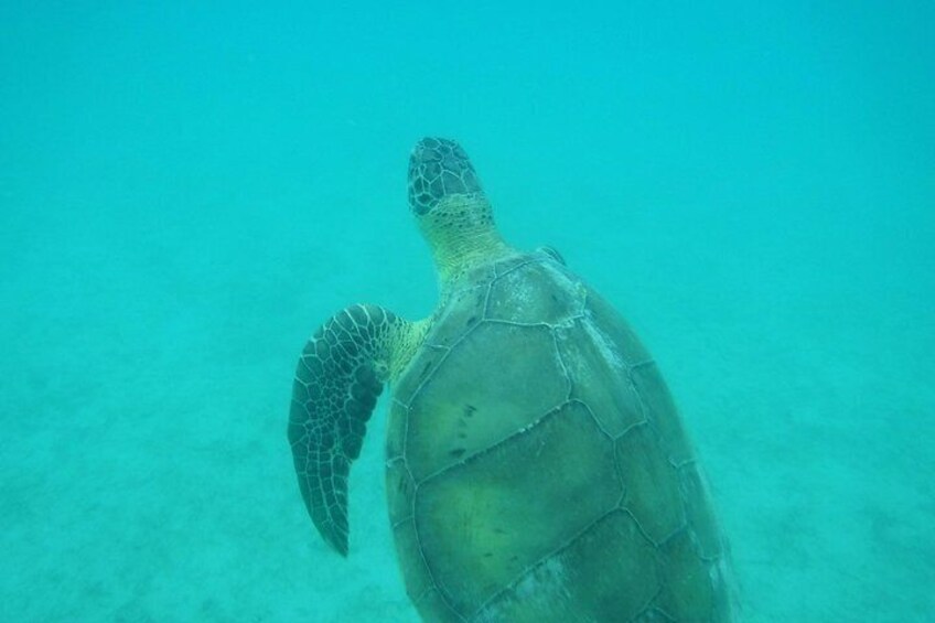 Private Day Sail & Snorkel with Virgin Islands Day Sailing, 6 guest max