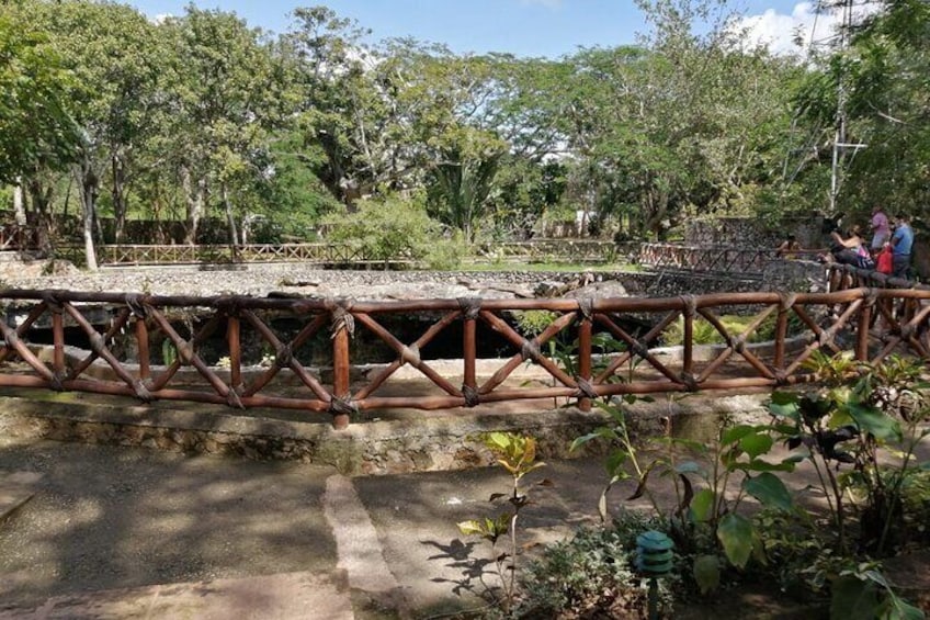 Cenote Saamal. 
A pleasant experience!