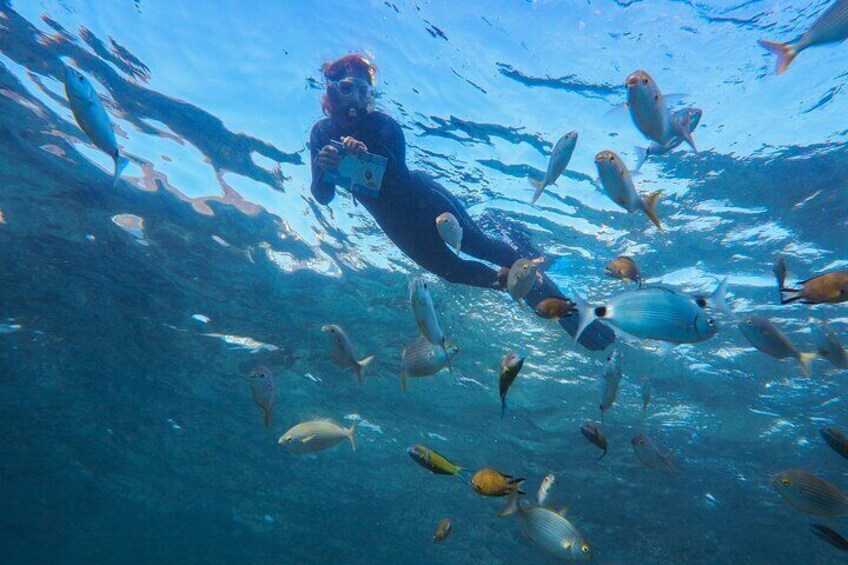 Guided Snorkel Experience