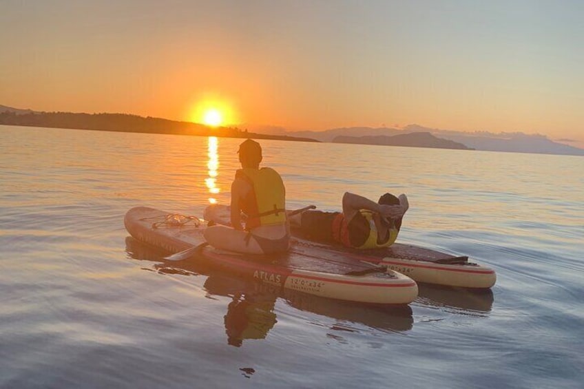 Chania:Coastal Sunset Stand-up Paddleboarding Experience