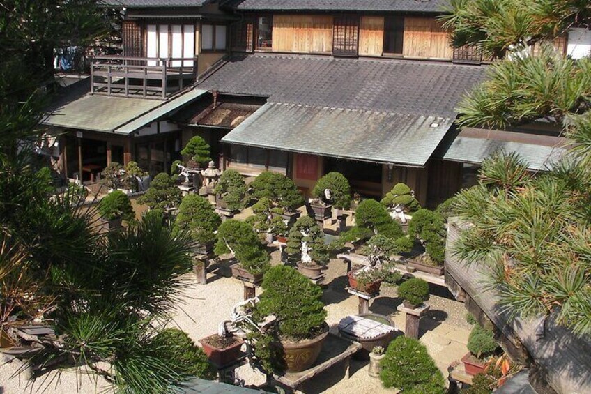 Bonsai and Washi Museum visit in Tokyo