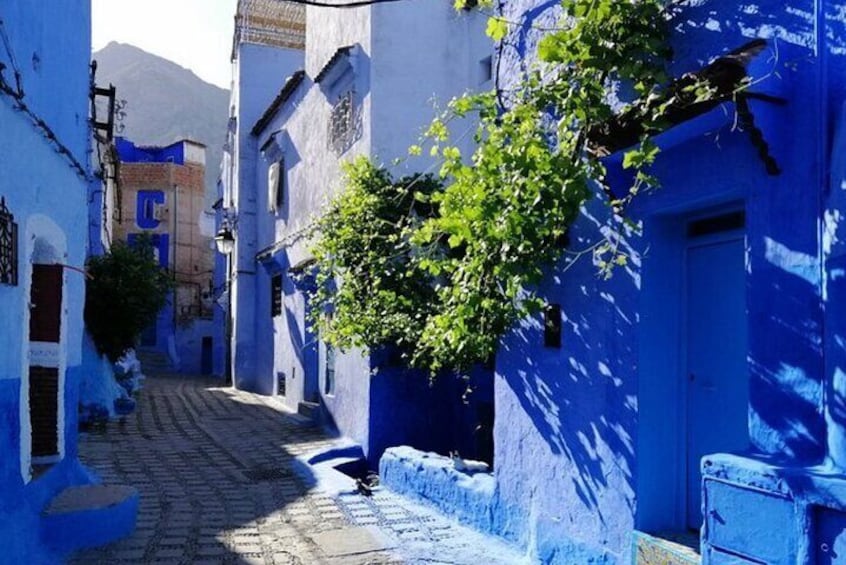 Private 2 Days trip to Chefchaouen the blue city from Casablanca