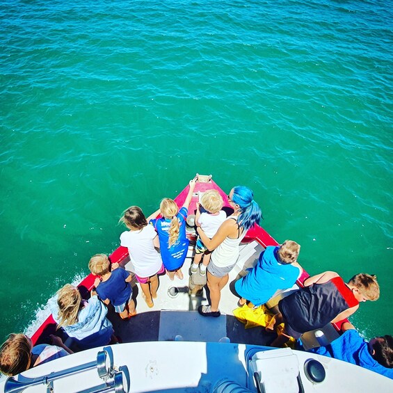 Picture 2 for Activity Tauranga: Mount Maunganui Harbour Sightseeing Cruise