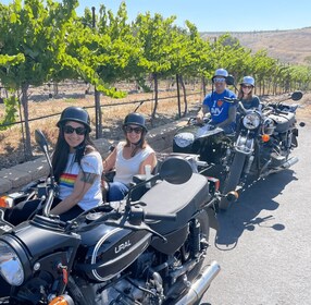 Valle de Napa: recorrido panorámico por el vino