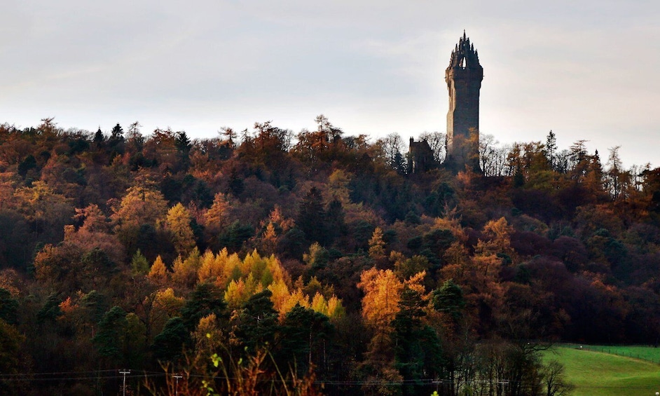 Picture 3 for Activity Edinburgh: Stirling, Whisky & St Andrews Tour in Italian