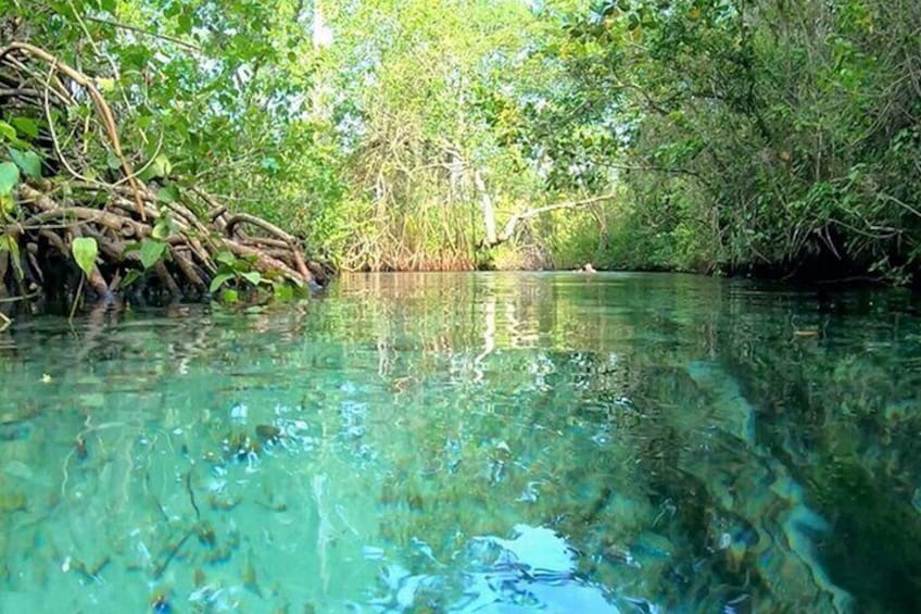 Adrenaline adventures on ATV and Playa Rincon from Samana special for cruisers