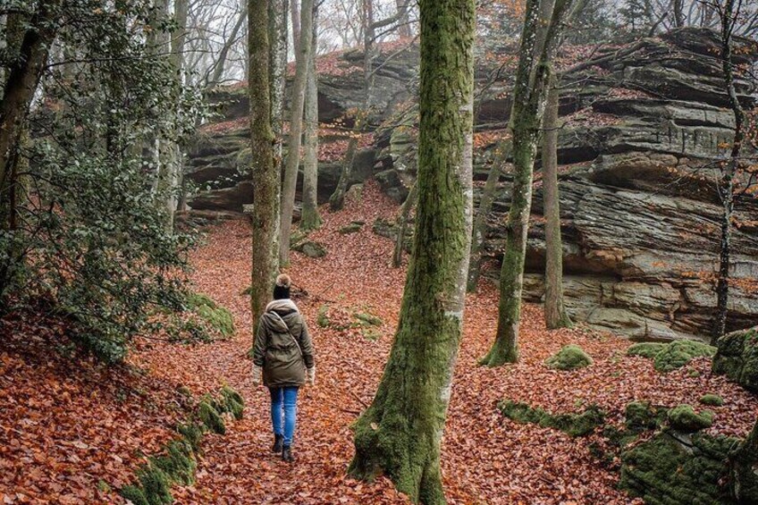 1 Day Parnitha Athens Private Hiking Tour