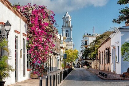 Half-Day Cultural Tour through Santo Domingo with Pickup