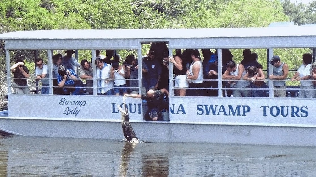 Tourist watching tour guide feed alligators from side of tour boat in New Orleans.