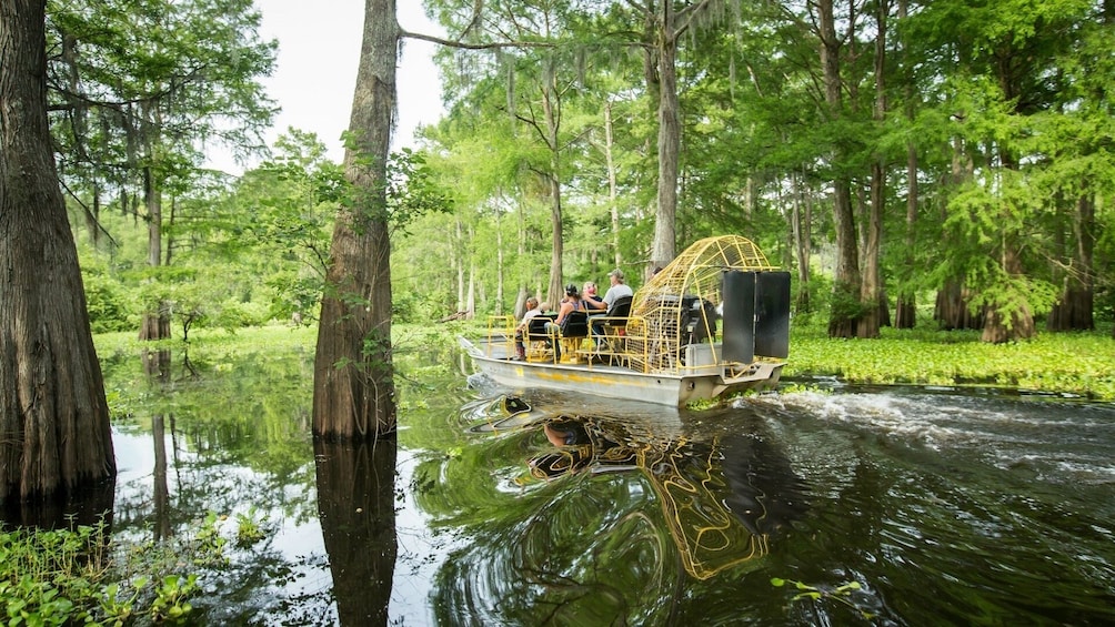 guided louisiana airboat tour