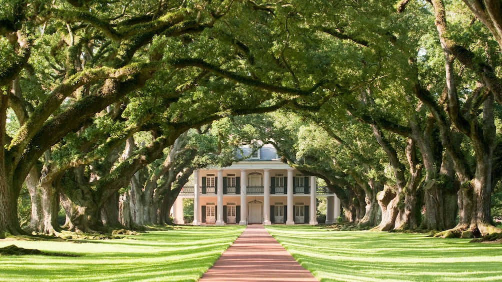 Estate grounds with red brick walkway to house and large trees flanking either side in Oak Alley, New Orleans.