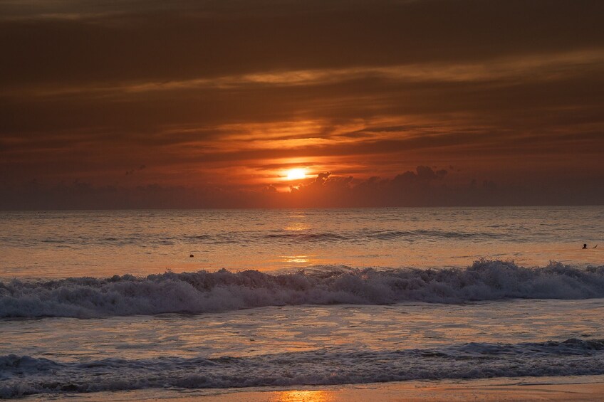 Turtle Release and Bioluminescent Plankton from Puerto Escondido