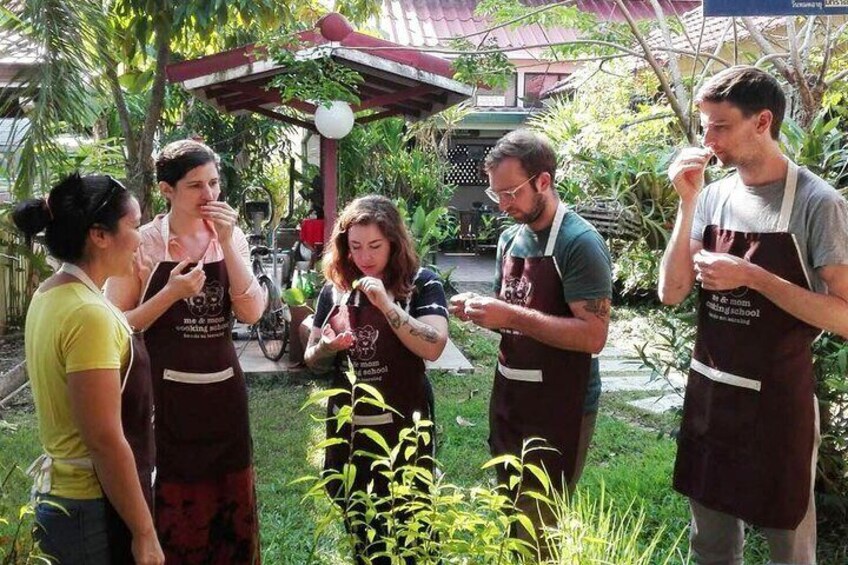 Thai Food Culture and Cooking Techniques from Our Garden In Chiang Mai