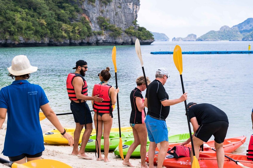 Picture 8 for Activity From Koh Samui: Ang Thong Marine Park VIP Small-Group Tour