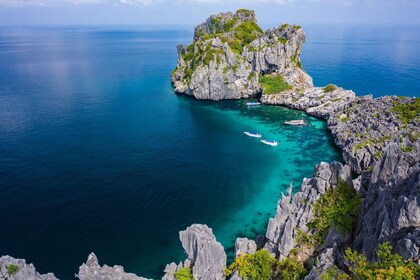 Desde Koh Samui: recorrido VIP para grupos pequeños por el parque marino de...