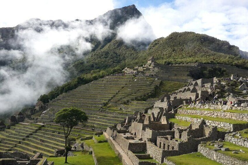 Full Day Tour to Machu Picchu from Cusco