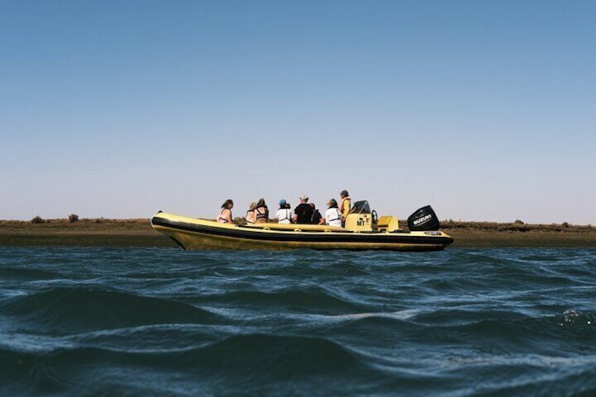 The Hop On Nature tour starts with a guided nature tour starting in Faro. During the tour the marine biologist guide will explain the ecosystem dynamics of Ria Formosa Natural Park.