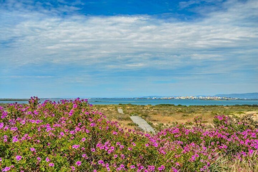 Full-Day Visiting 3 Islands & Ria Formosa Natural Park Guided Tour