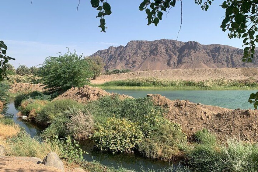 Experience Madinah’s Culture and Historical sights