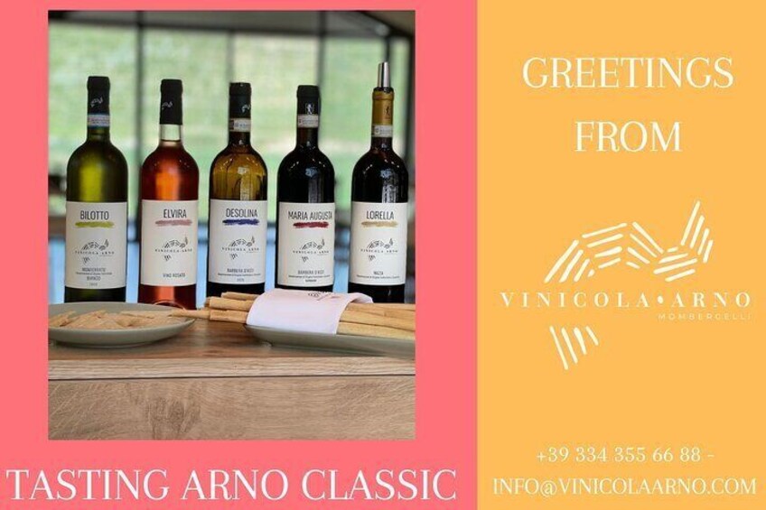 Wine Tour and Tasting with the Producer in the Monferrato-Classic