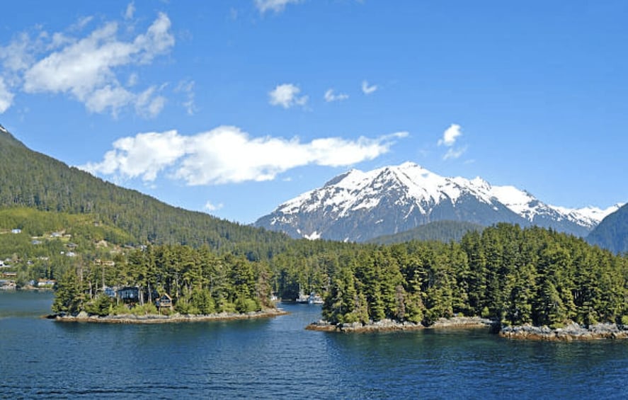 Picture 4 for Activity Sitka: Totem Poles, Raptor Centre, & Fortress of Bears Tour