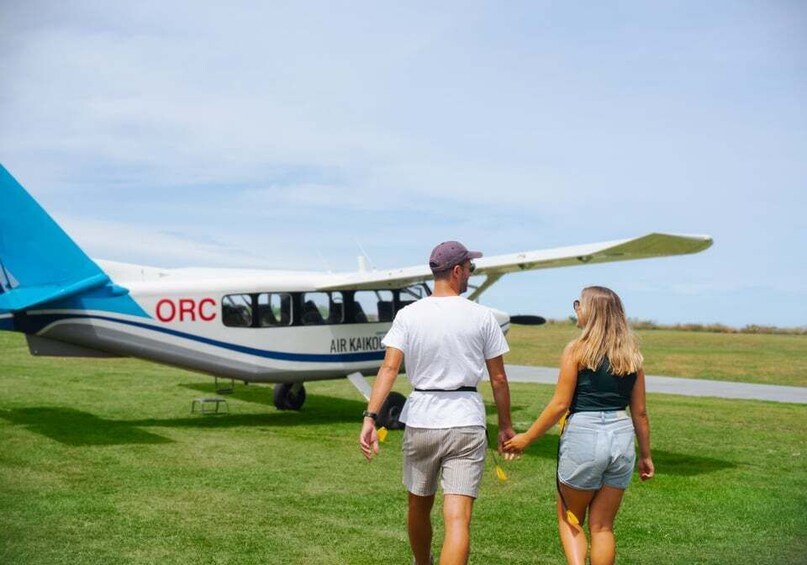 Picture 2 for Activity Kaikoura: 40-Minute Whale Watching Flight with Commentary