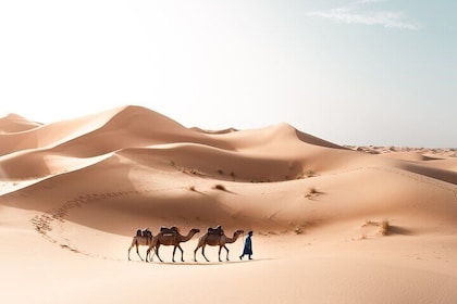 Marrakech to Fes 3-Day Desert Adventure via Merzouga