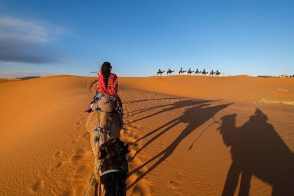 3-Day Desert Tour: Marrakech to Fes via Merzouga