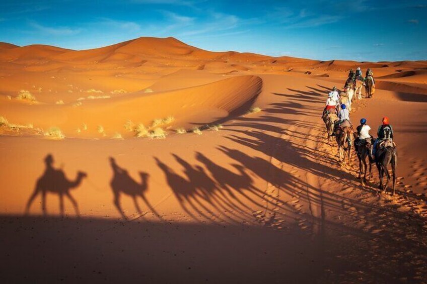 Marrakech to Fez: 3-Day Sahara Camel Trek & Desert Adventure