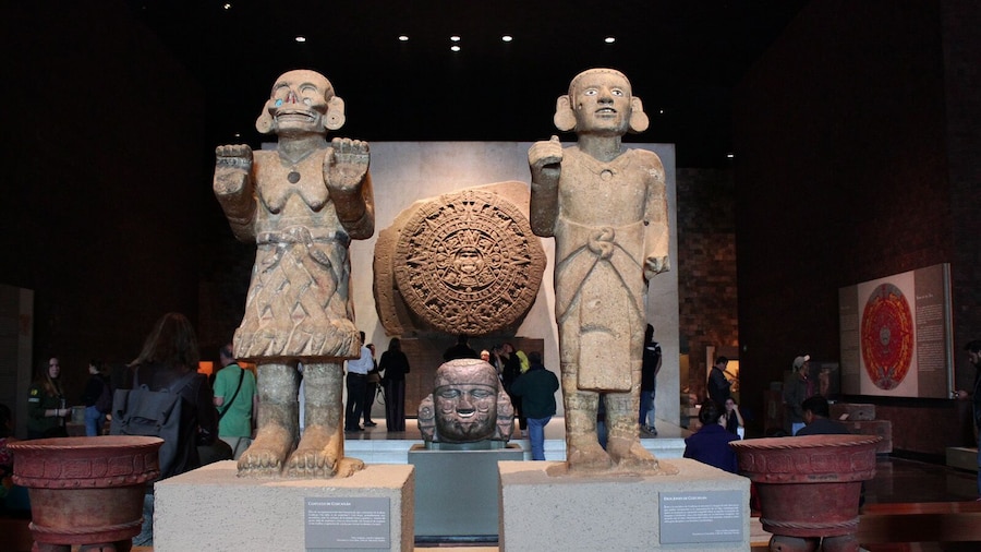 Skip-the-line Ticket to Anthropology Museum